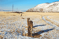 846 км Чуйского тракта. Курганы.