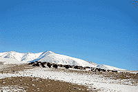 871 км Чуйского тракта.