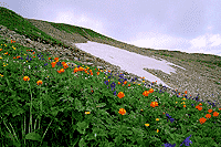 Бакаташ (гора)