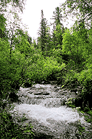 Река Тура.