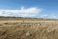 Плато Укок. Курганы.