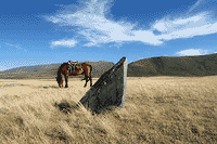 Плато Укок.