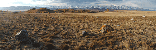 Курайская степь