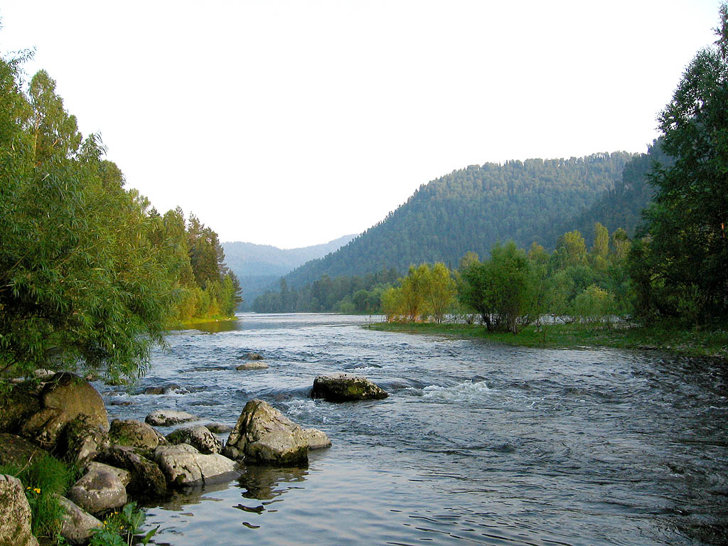 Река Бия.