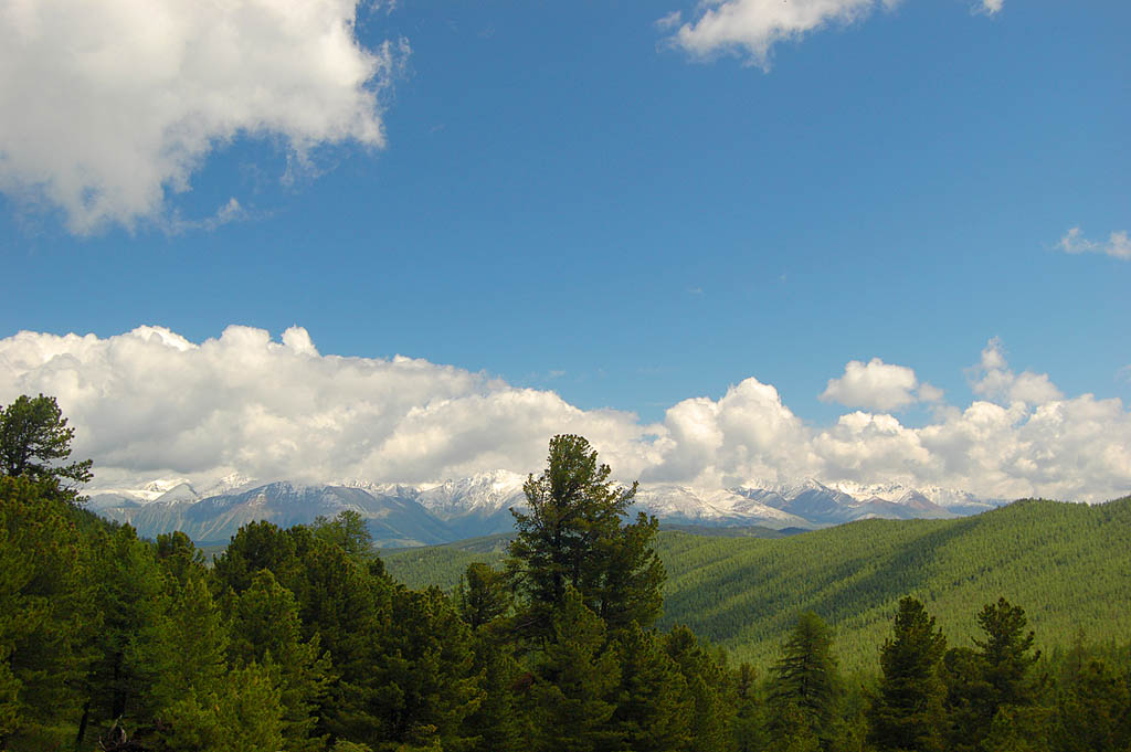 Курайский хребет