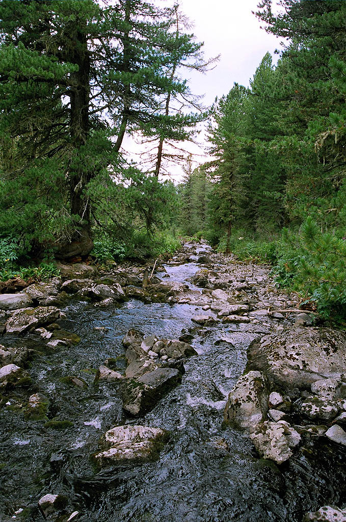 Река Тура.