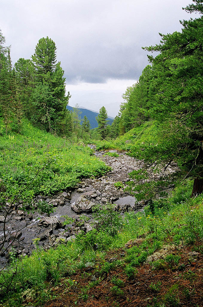 Река Тура.