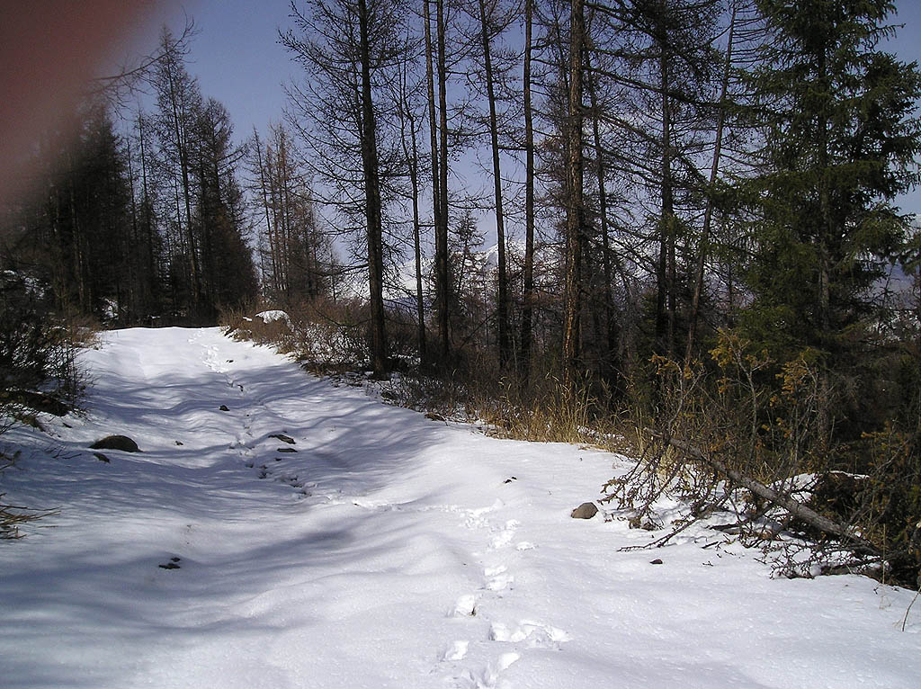 Долина реки Актру.