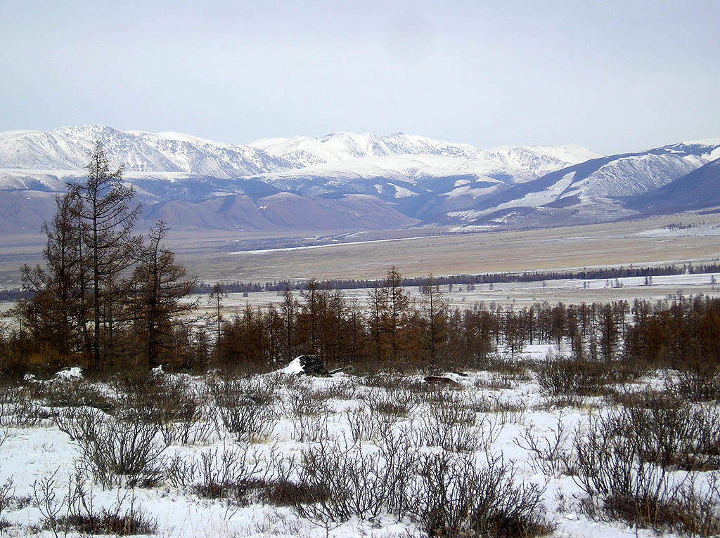 Курайская степь. С перевала Учитель.