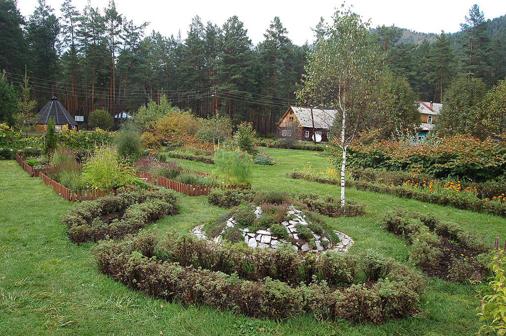 Горно-Алтайский ботанический сад в Камлаке 