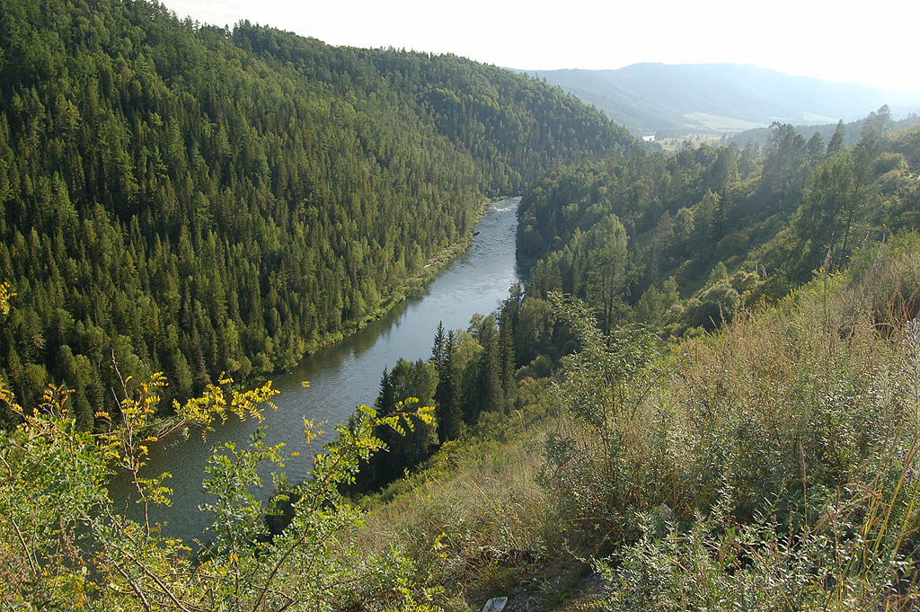 Река Кокса
