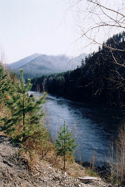 Река Катунь.