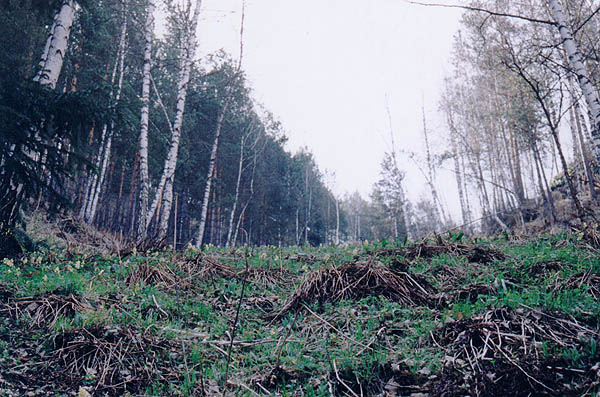 Посредине горы.