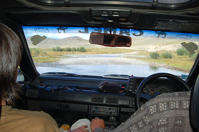 Броды по пути на перевалку. 