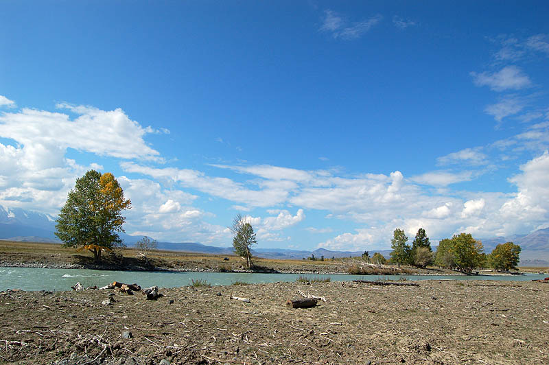 Река Чуя возле моста недалеко от Курая. 