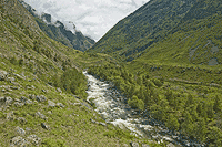 Река Чульча.