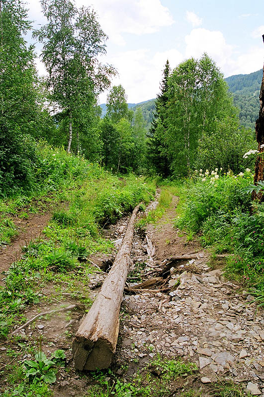 Автомобильная и конная дорога к озерам.