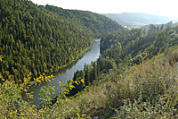 Река Кокса. Вид с дороги рядом с речкой Б.Громотуха.
