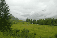 Возле Чибита.