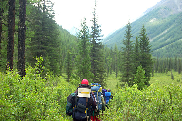 Идем вдоль Шавлы.