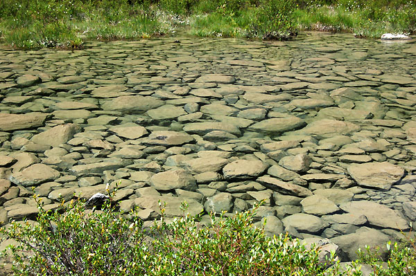 Разлив на Шавле.