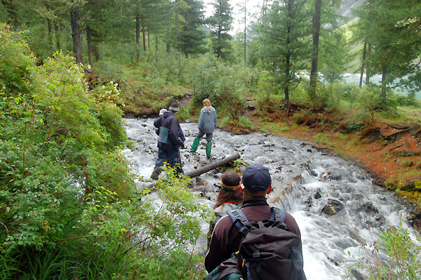 Нижнешавлинское озеро. Ручей посредине озера. 
