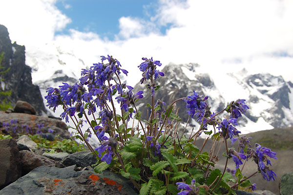 Горы, морены, ледники.